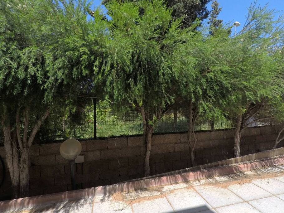 giardino interno per parcheggio auto o moto (zona videosorvegliata)