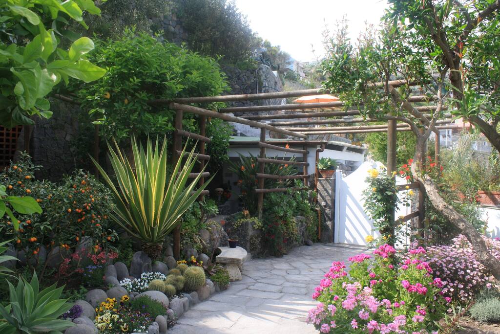 Ingresso di Villa Margherita tra fiori profumati ed alberi di limoni