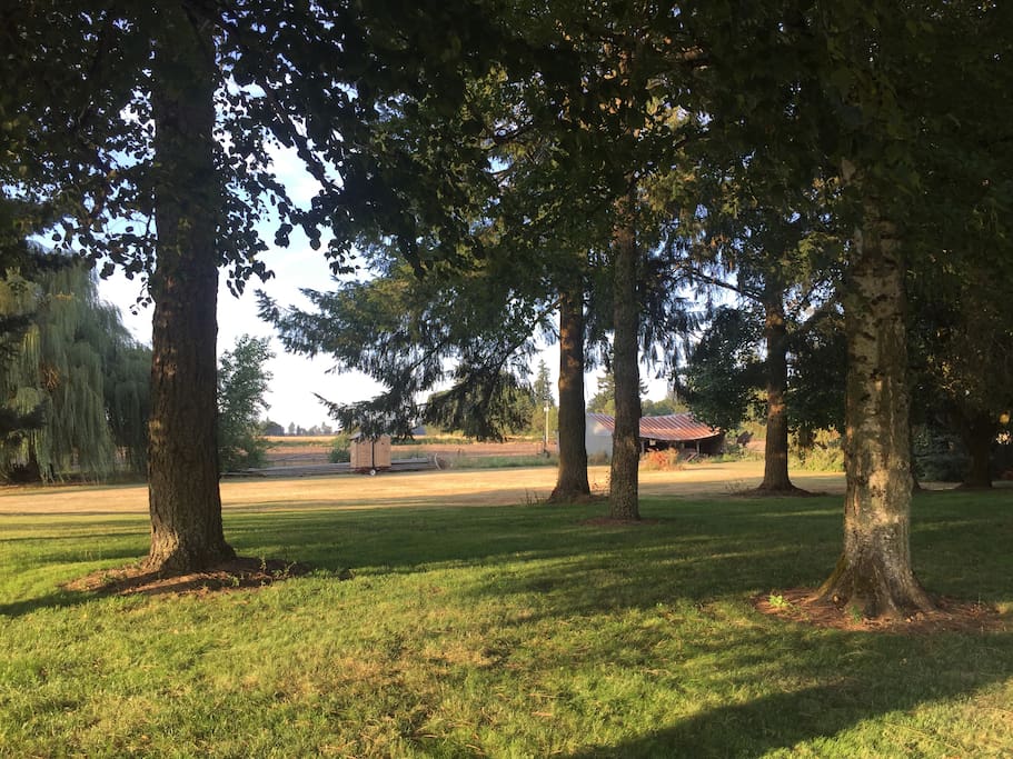 Choose a place in the shade! Or put up a hammock!