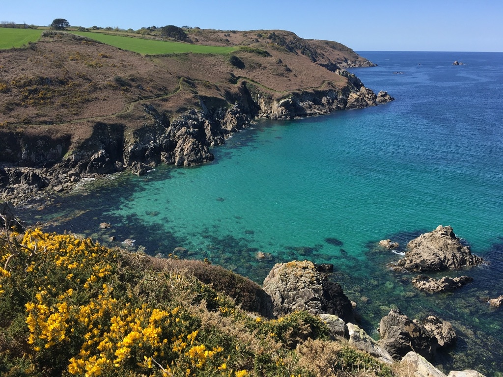 A scenic coastal view is displayed, featuring rocky cliffs and vibrant yellow flowers in the foreground. The turquoise water gently laps against the shoreline, with distant hills creating a tranquil backdrop against a clear blue sky.
