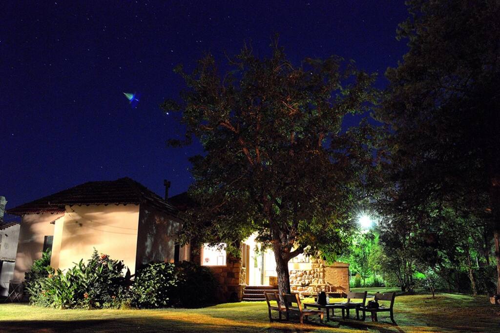 Jardín de noche