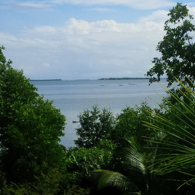 View from veranda