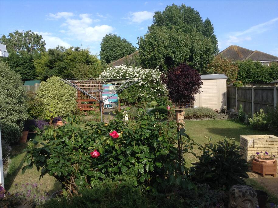 View from studio window
