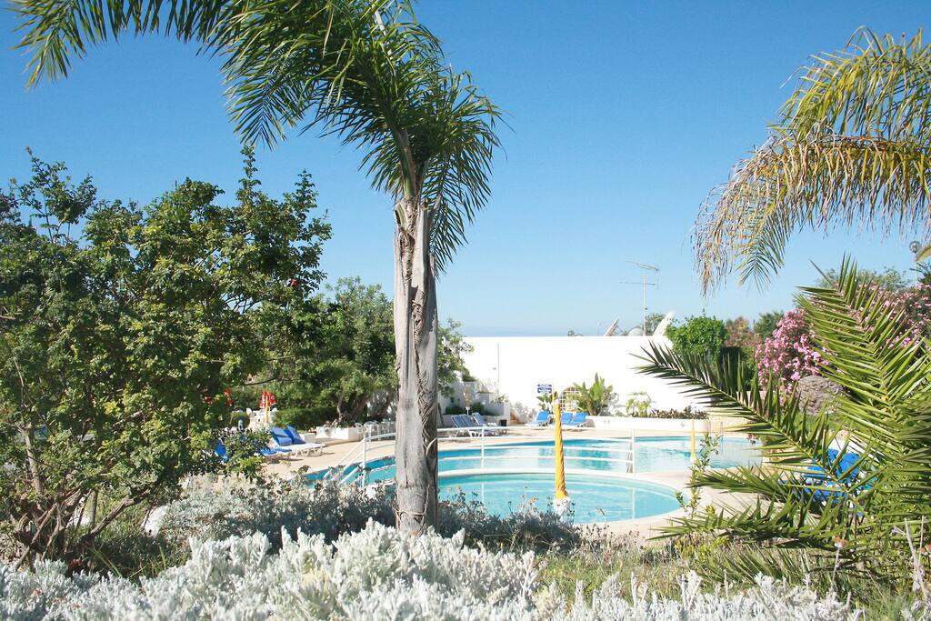 The condo Pool area.
