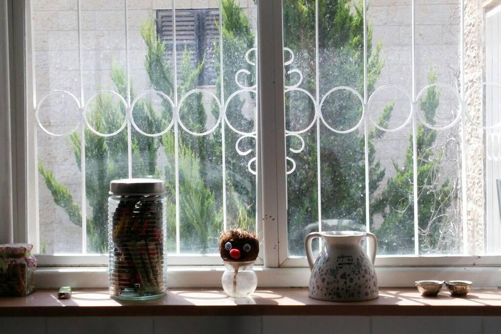Kitchen view