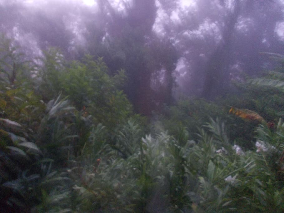 russo de Petropolis