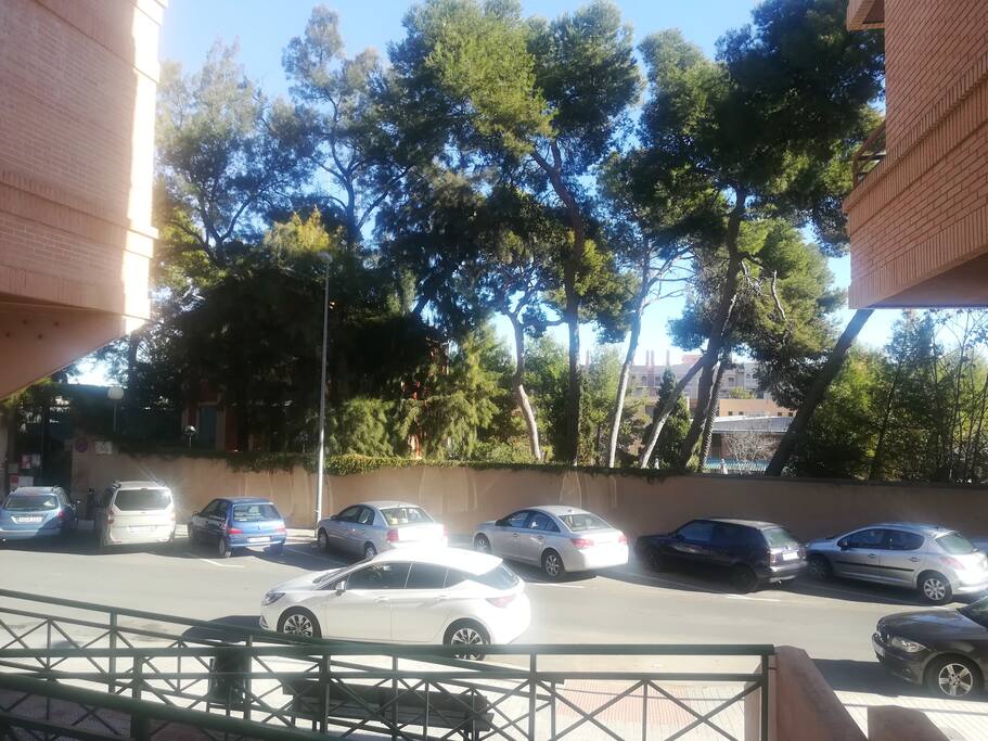 Jardines frente el edificio