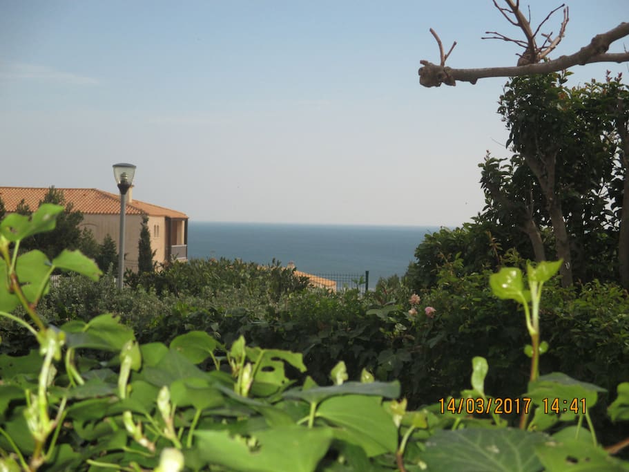 Vue sur la mer du jardin de l'appartement