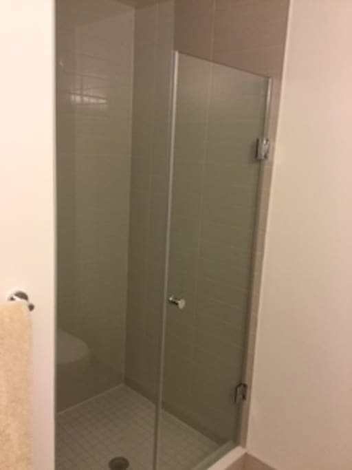 Guest shower