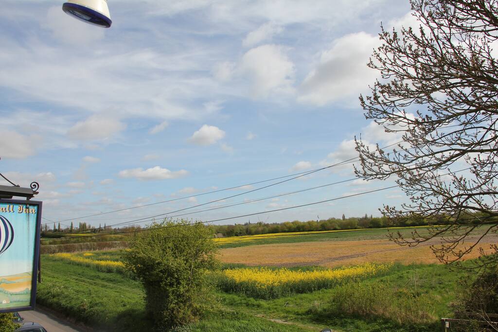 Views over the meadow to the roof tops of the colleges