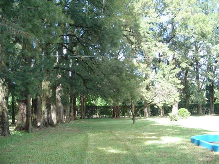 El lugar: amplio jardín de 5600mts. con bosque de casuarinas y otro de bambu