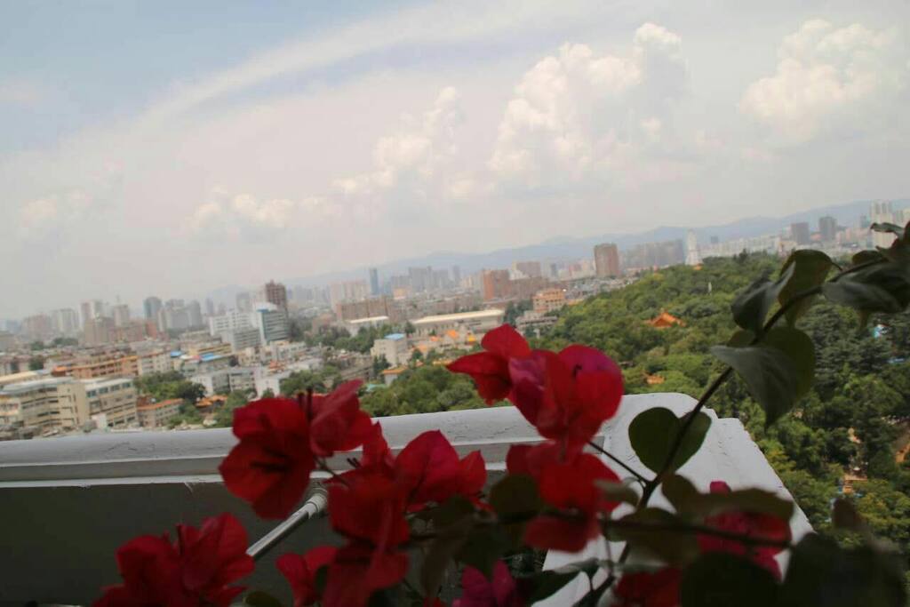 阳台风景