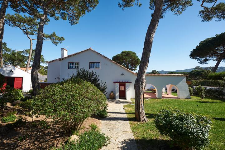 Domus Quieta w/pool, garden & pinewood near beach gallery image 5