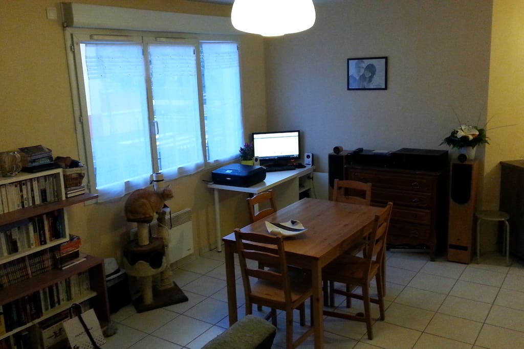 Une pièce optimisée pour tous les moments de la journée ! Le chat n'est pas fourni... Sauf pour ceux qui veulent ;P (bis)