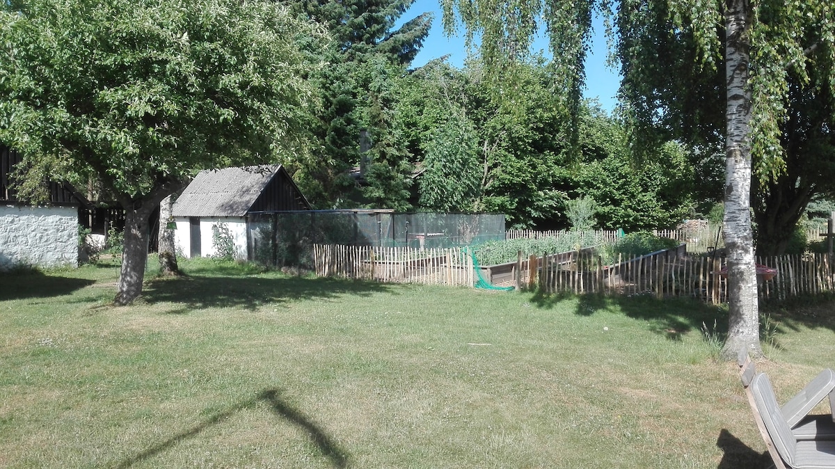 A spacious outdoor area is framed by lush green trees, featuring a garden with a fenced section visible in the background. A cozy building with a thatched roof peeks through the greenery, surrounded by an expansive lawn that offers ample space for relaxation.