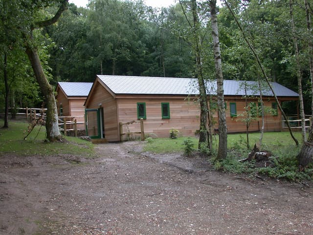 listing_image