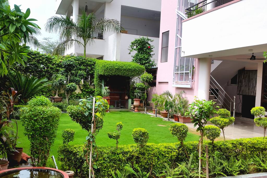 garden