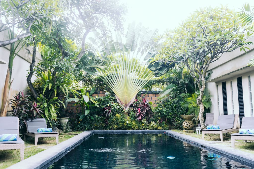 Pool (shared)