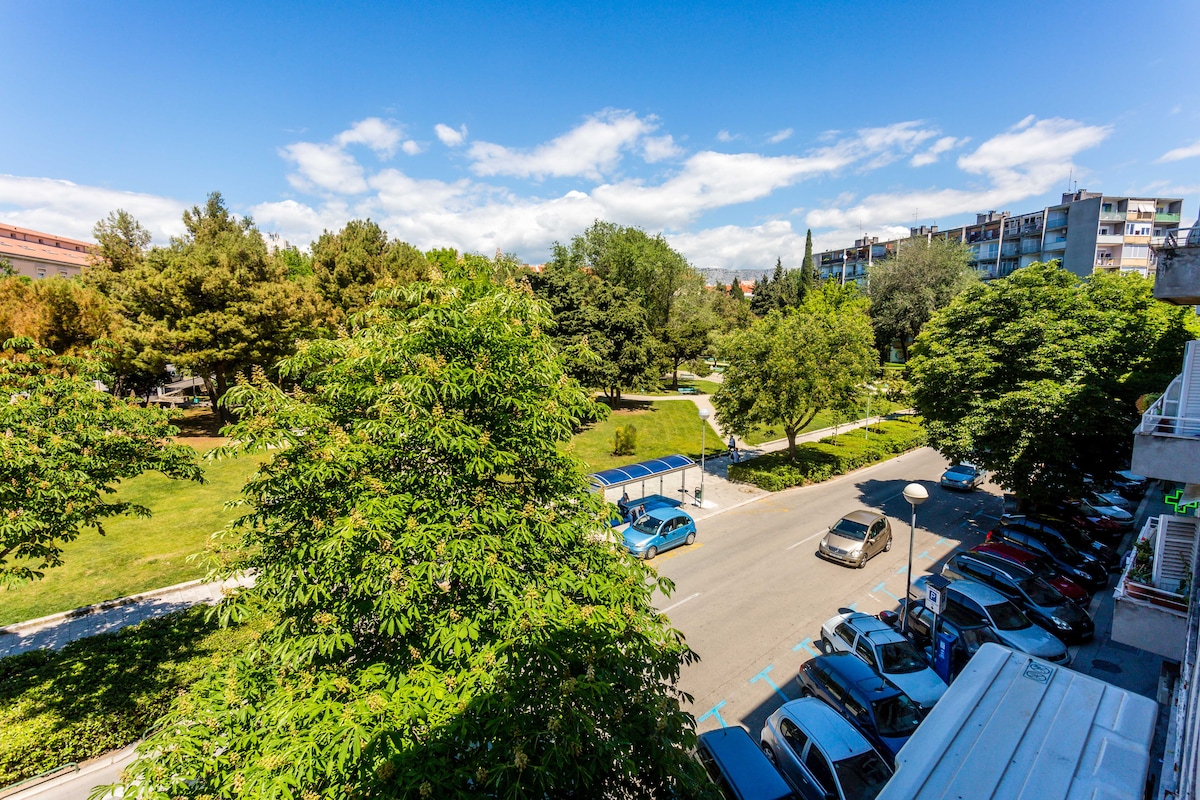 A view of the park outside the apartment showcases lush greenery and open spaces. Trees line the park walkway, while parked cars are visible along the street. The clear blue sky and fluffy clouds complement the serene setting, inviting relaxation and outdoor activities.