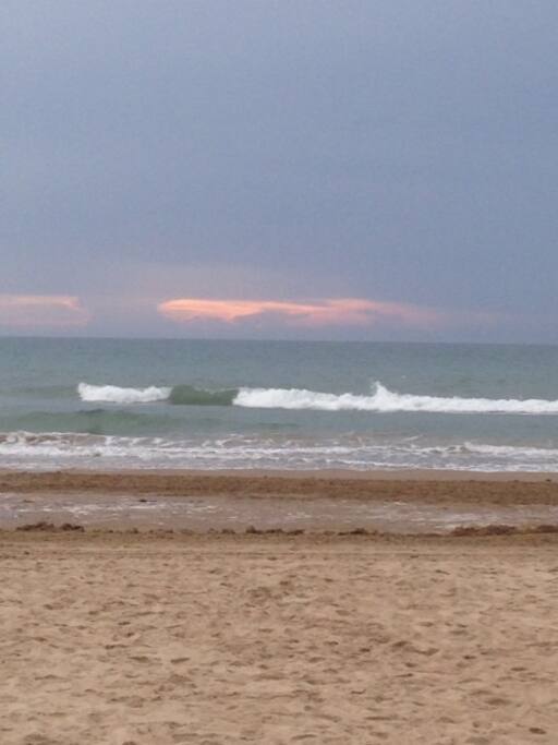 Ocean