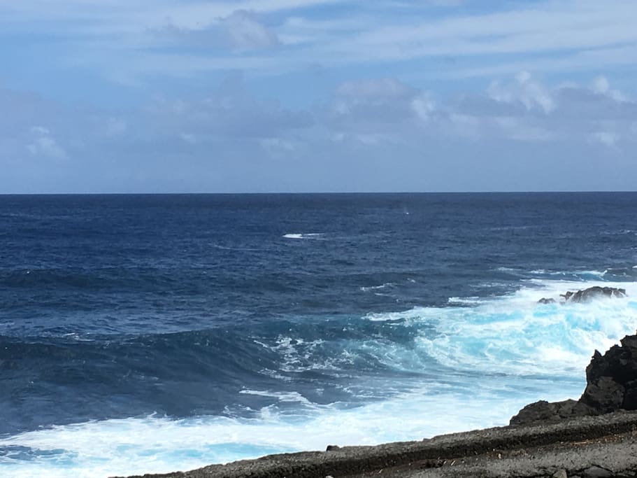 Ocean and small part of east wall in backyard