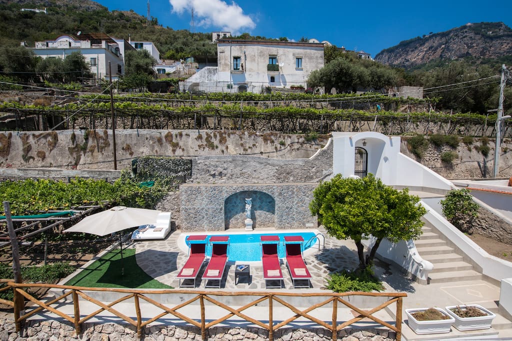 The pool from the roof