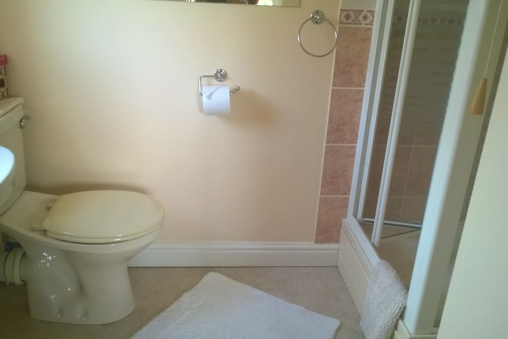 Bedroom 1 - en-suite shower room