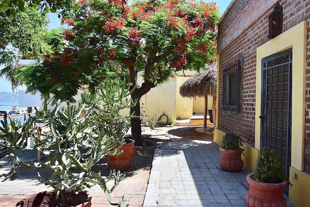 This is a front row seat to the Sea of Cortés. Enjoy it from our palapa or terrace or simply enjoy the shade of our Tabachín.