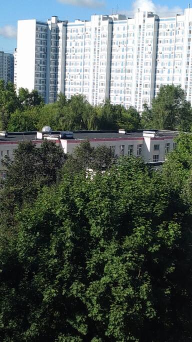 Вид из окна