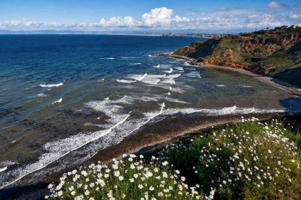 Nearby view of the Santa Monica Bay all the way to Malibu from cliffs of cliffs of Rancho Palos Verdes - a great place to hike and explore!