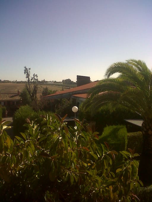 Vistas desde Balcón-Terraza.