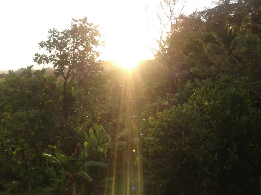Premiers rayons du soleil par un matin d avril....