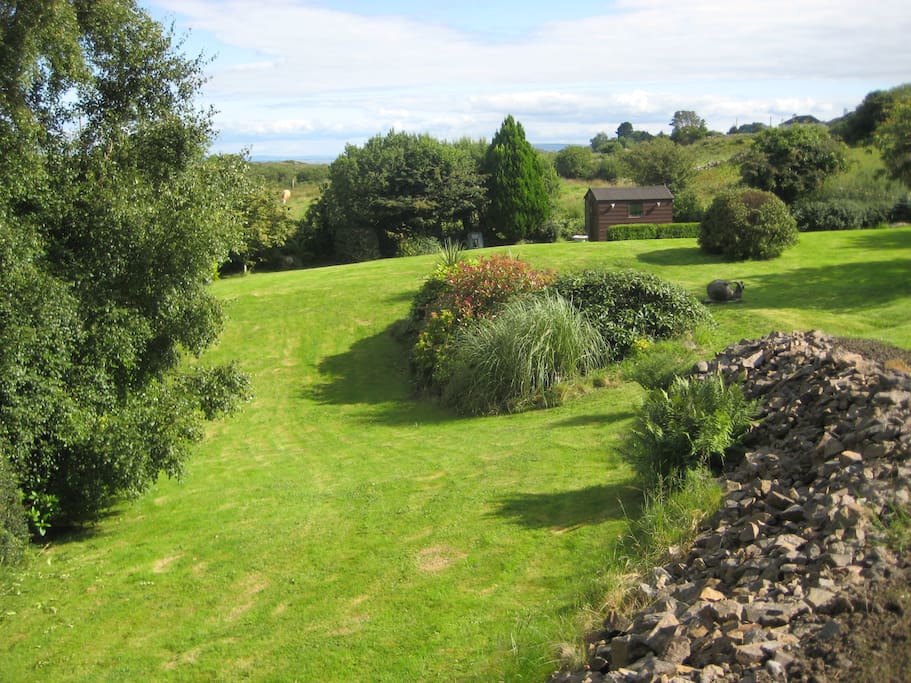Back Garden