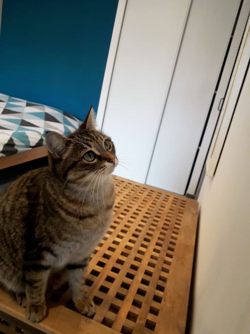 Bonnie la maîtresse de Maison