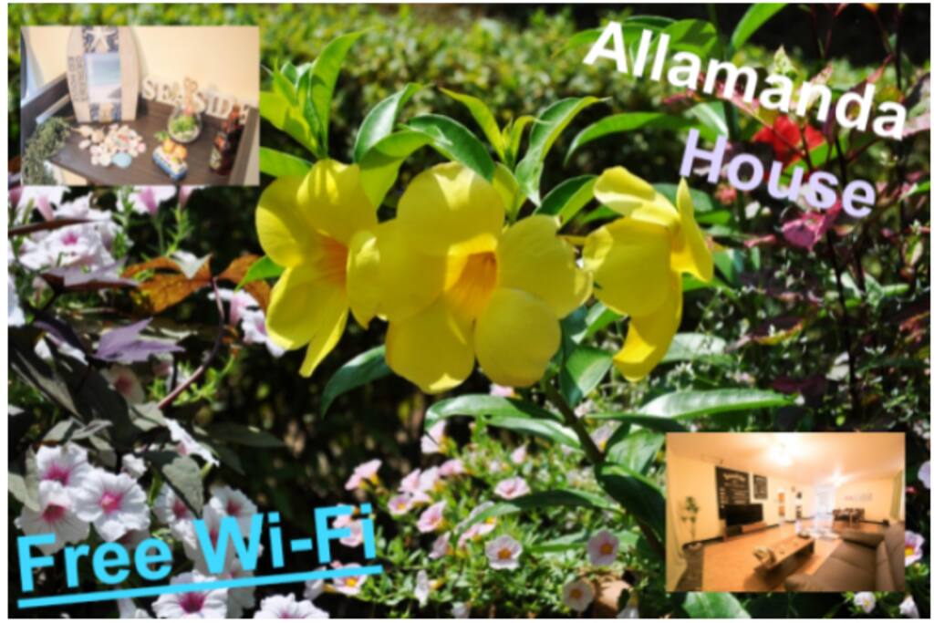 アラマンダハウス
Allamanda House