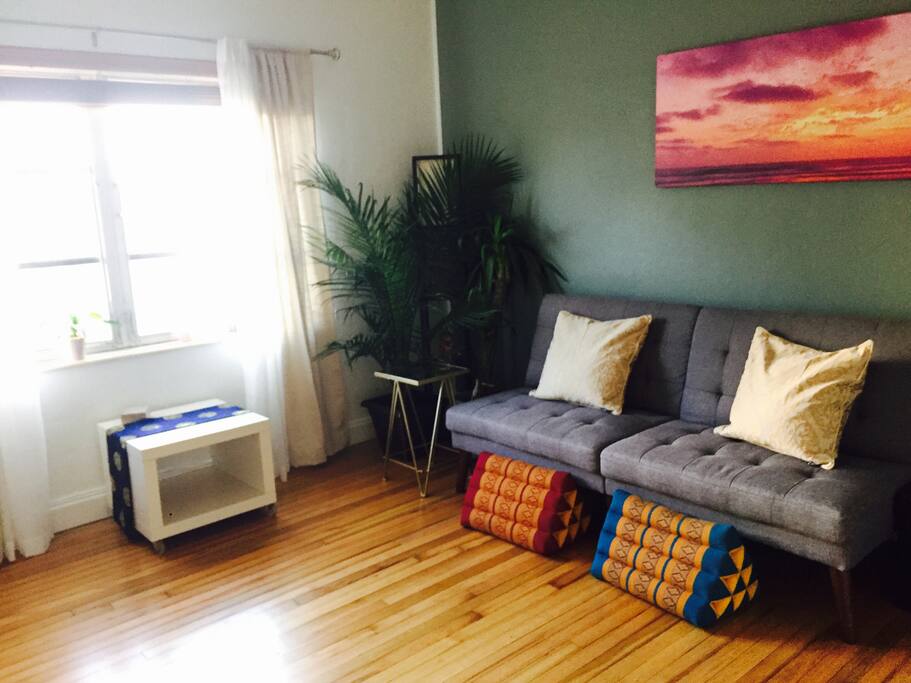 lots of sun and brand new wood floors