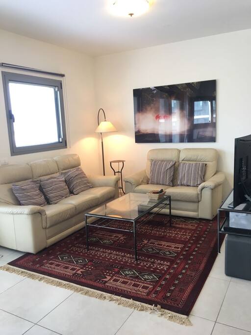 comfortable sofas, 50" cable TV, PlayStation4