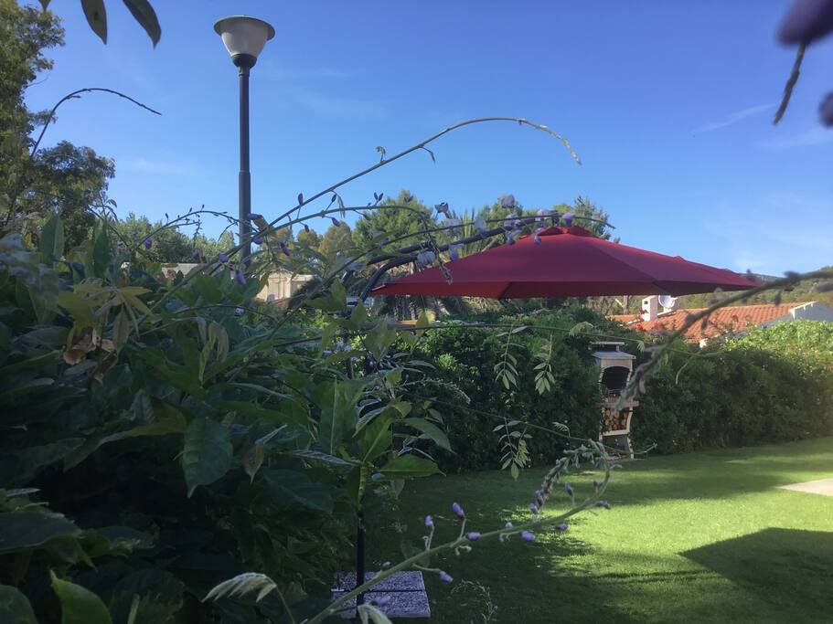 Front garden