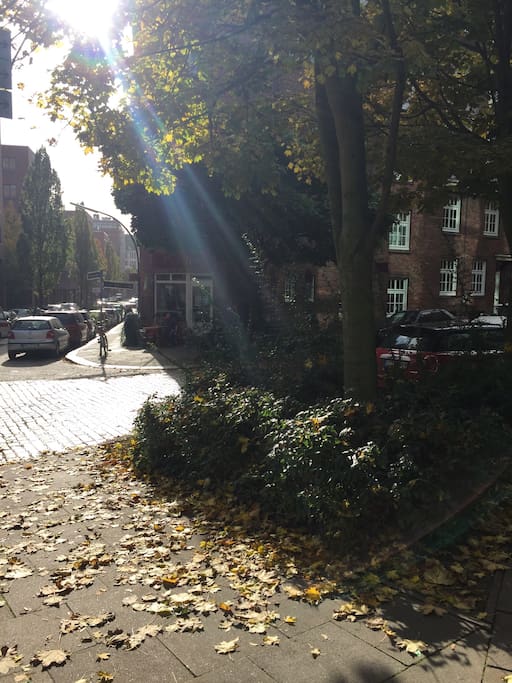 Die Nachbarschaft/ your beautiful neighborhood