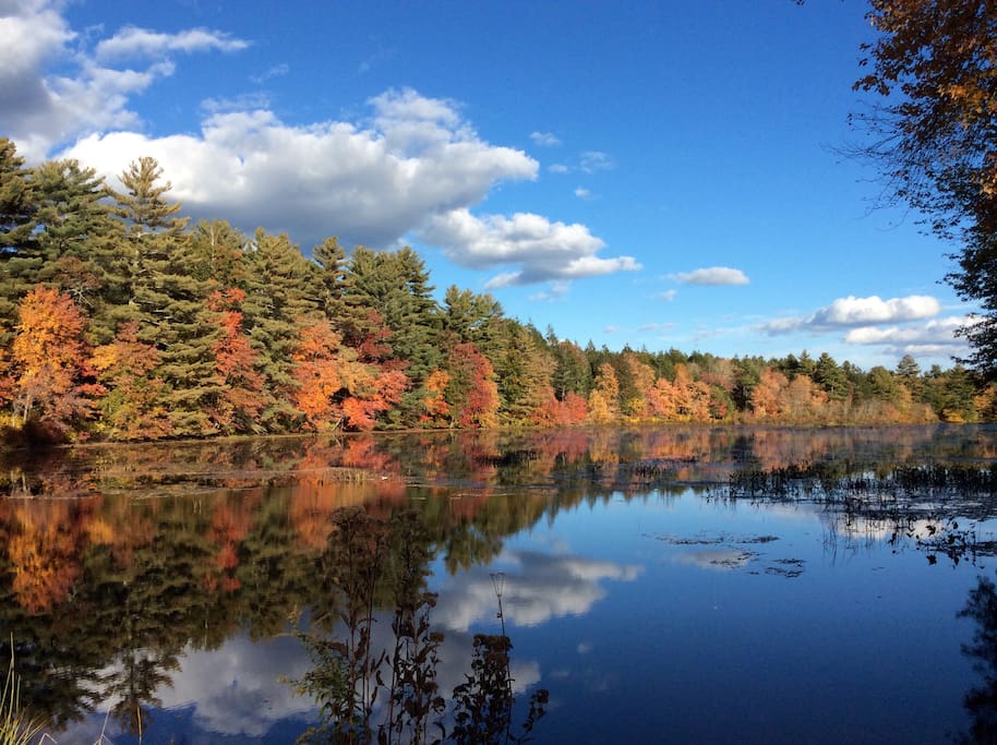 Beautiful Still Waters Pond in the fall