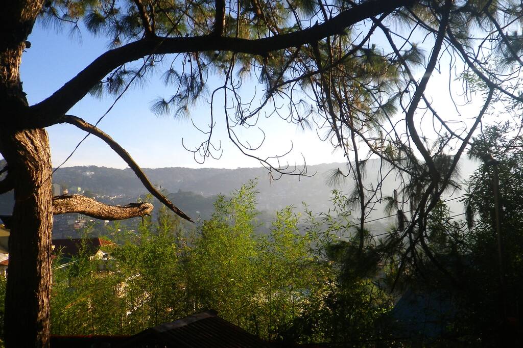 Breathtaking view of the mountain range romancing w/ the fog.