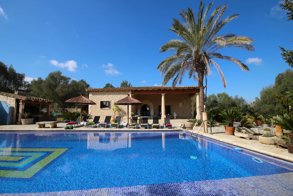 Pool area with sun beds and parasols