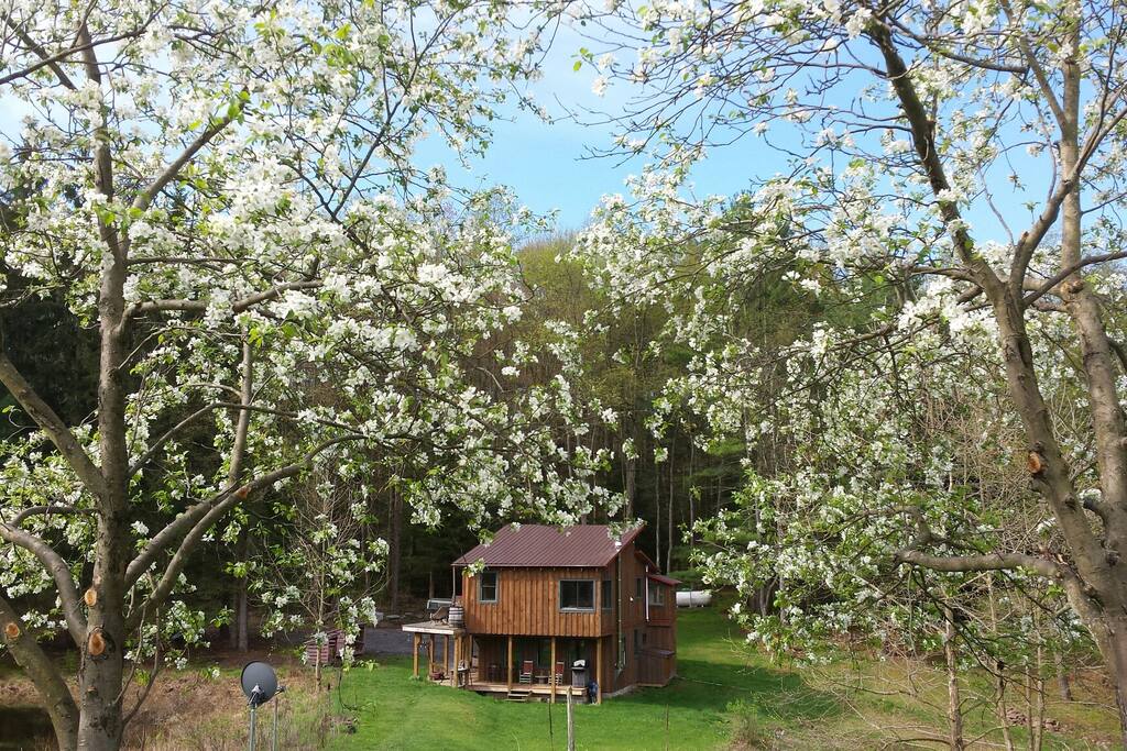 Rooms For Rent In State College Pa Rooms For Rent In State College Pa