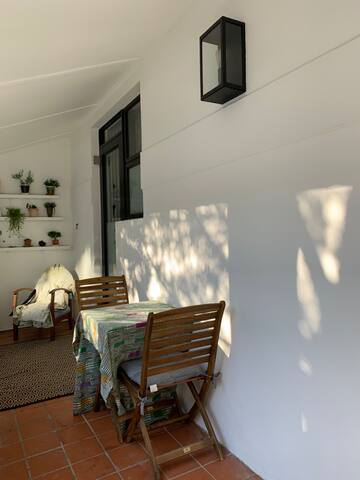 Spacious, renovated family home in Green Point gallery image 5