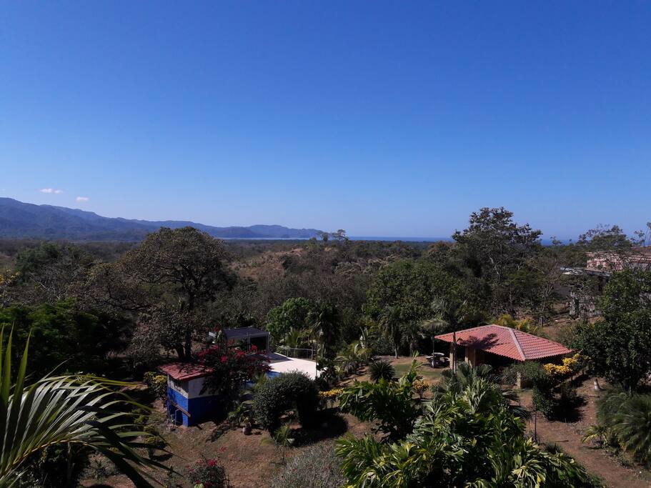 View from balconies