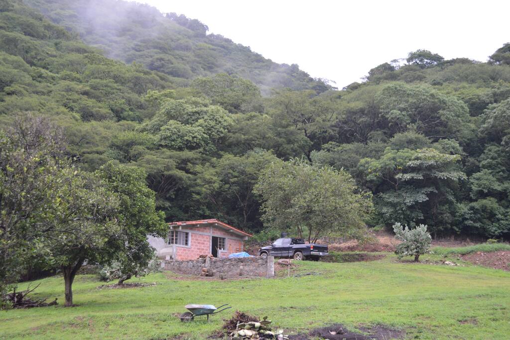 Our home