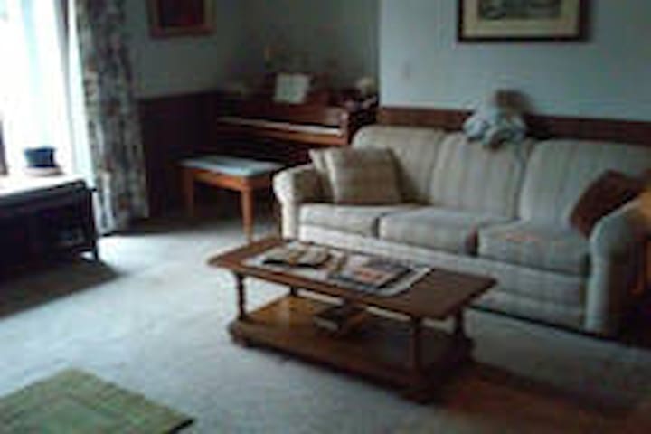 Cheap sack in the woods sofa bed