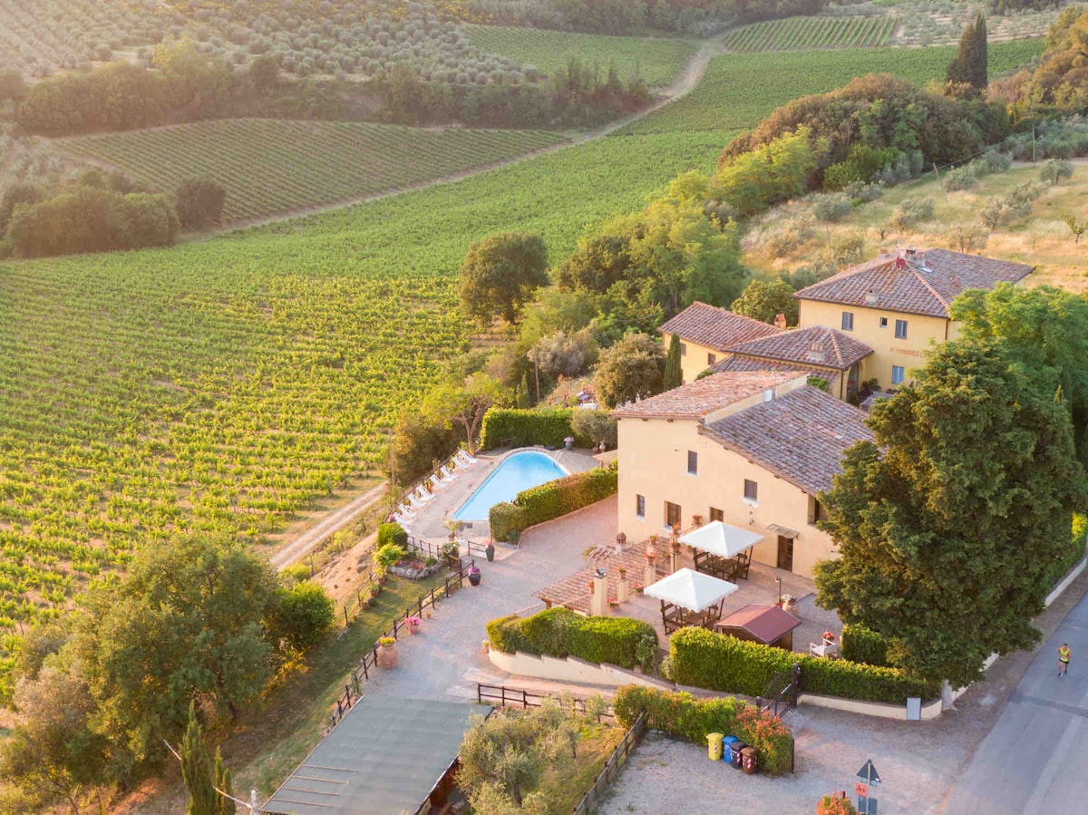 Aerial view of a historical Tuscan farmhouse surrounded by lush vineyards. A saltwater pool glistens in a panoramic terrace setting, while outdoor seating areas with umbrellas are visible. The scene captures the essence of serene countryside living and vibrant nature.