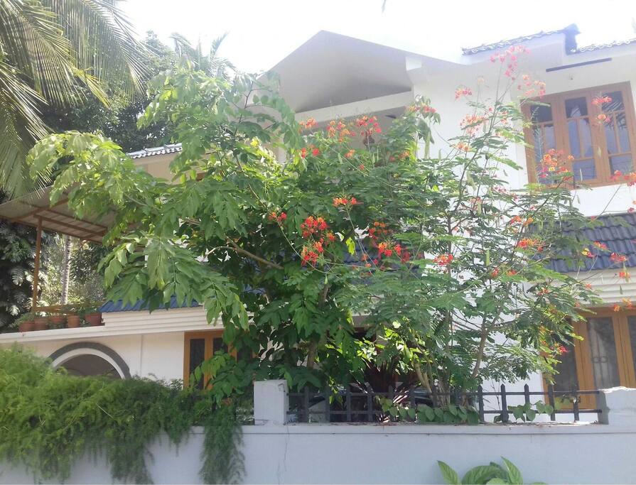 fascino family homestay. ...