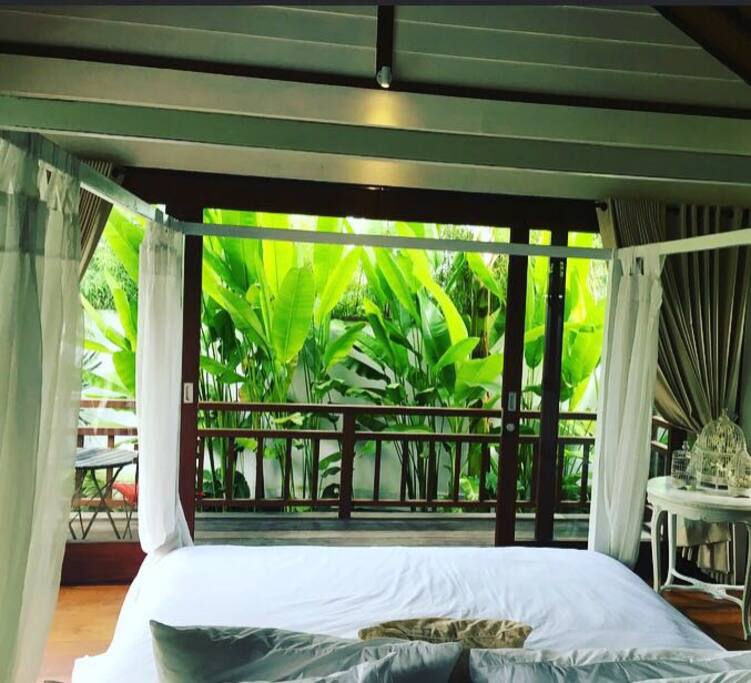 Lush garden view